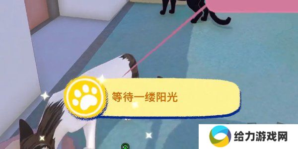 小猫咪大城市等待一缕阳光成就怎么过 等待一缕阳光成就通关攻略