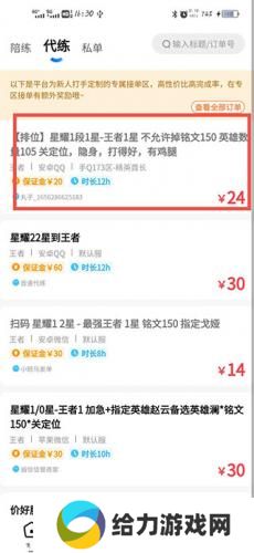 代练丸子打手版