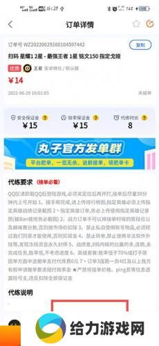 代练丸子打手版