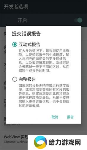 开发者选项