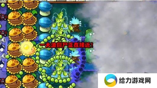 植物大战僵尸杂交版冒险第18关怎么通关 杂交版冒险第18关通关攻略